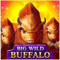 game logo by Belatra Games on playjangocasino.eu